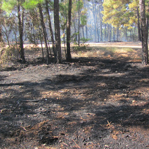 low fire